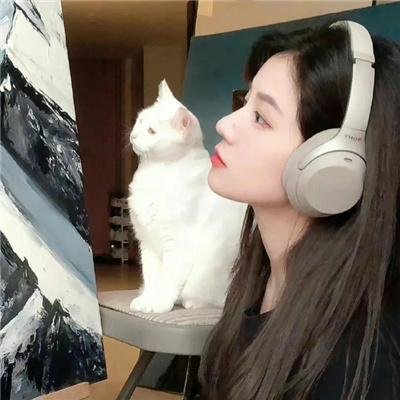 绿衣骑士